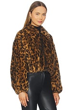 Esme Jacket - thumbnail 6