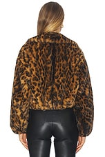 Esme Jacket - thumbnail 7