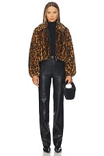 Esme Jacket - thumbnail 8