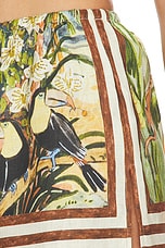 Toucan Tango Short - thumbnail 9