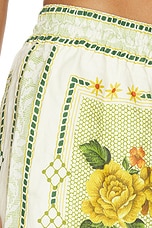 Dixie Pant - thumbnail 9