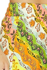 Janine Pant - thumbnail 9