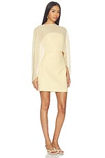Berkshire Mini Dress - thumbnail 5