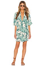 oasis green shirt dress