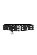 Hazel Belt