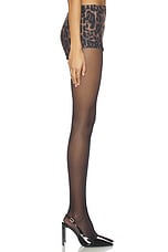 Jodie Short - thumbnail 5