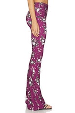 Camil Pant - thumbnail 6