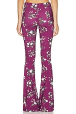 Camil Pant - thumbnail 7