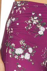 Camil Pant - thumbnail 9
