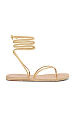 Product image of Ancient Greek Sandals Celia Sandal. Click to view full details