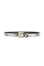 Nicola Belt - thumbnail 4