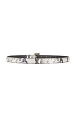 Nicola Belt - thumbnail 5