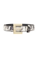 Nicola Belt - thumbnail 6