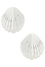Silver Shell Earring