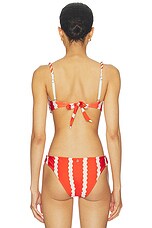 Bora Bikini Top - thumbnail 6