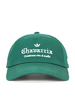 Chavarria Logo Hat - thumbnail 5