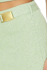 Ana Belted Mini Skirt - thumbnail 9