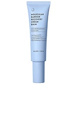 Product image of Allies of Skin Allies of Skin Molecular Barrier Recovery Cream Balm. Click to view full details