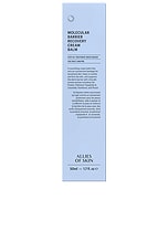 Molecular Barrier Recovery Cream Balm - thumbnail 5