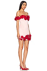 The Rosalie Mini Dress - thumbnail 5