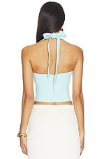 Deserae Halter Neck Top - thumbnail 6