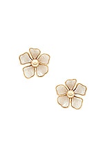 Baby Bloomer Earrings