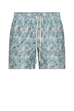 Devon Swim Short