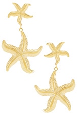 Starfish Earrings