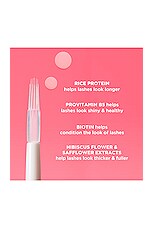 Whoop Lash Serum - thumbnail 7