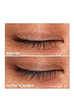 Whoop Lash Serum - thumbnail 9