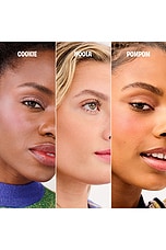 Cheek Buds Limited Edition Spring Palette - thumbnail 6