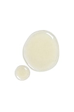 Cathedral Grove Perfume Oil - thumbnail 5