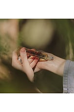 Cathedral Grove Perfume Oil - thumbnail 6
