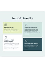 Inositol Cycle Support - thumbnail 7