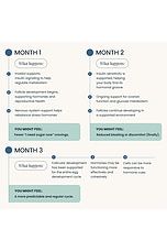 Inositol Cycle Support - thumbnail 8