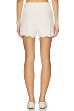 CozyChic Ultra Lite Scallop Short - thumbnail 7