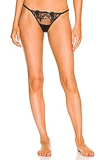 Product image of BLUEBELLA Marseille Thong. Click to view full details