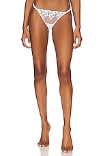 Product image of BLUEBELLA Gabriella Brief. Click to view full details