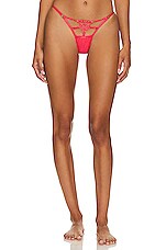 Product image of BLUEBELLA Aria Thong. Click to view full details