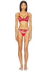 Lavanya Wired Bra - thumbnail 7