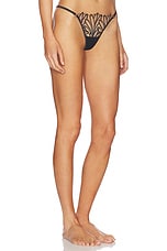 Pavlina Thong - thumbnail 5