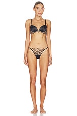 Pavlina Thong - thumbnail 7