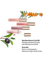 Mineralist Gloss-Balm - thumbnail 5