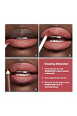 Mineralist Lasting Lip Liner in Cherished Rose - thumbnail 5