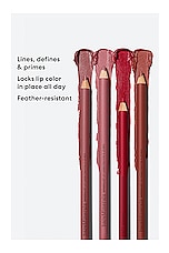 Mineralist Lasting Lip Liner in Cherished Rose - thumbnail 10