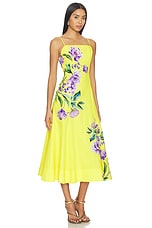 Paneled Midi Dress - thumbnail 5