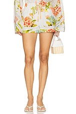 Printed Short With Lace