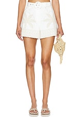 Belted Shorts