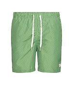 Swim Trunk