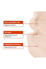 Universal C Skin Refiner - thumbnail 9